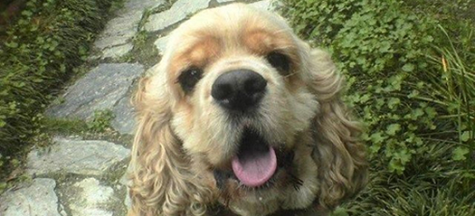 アクセス　イメージ